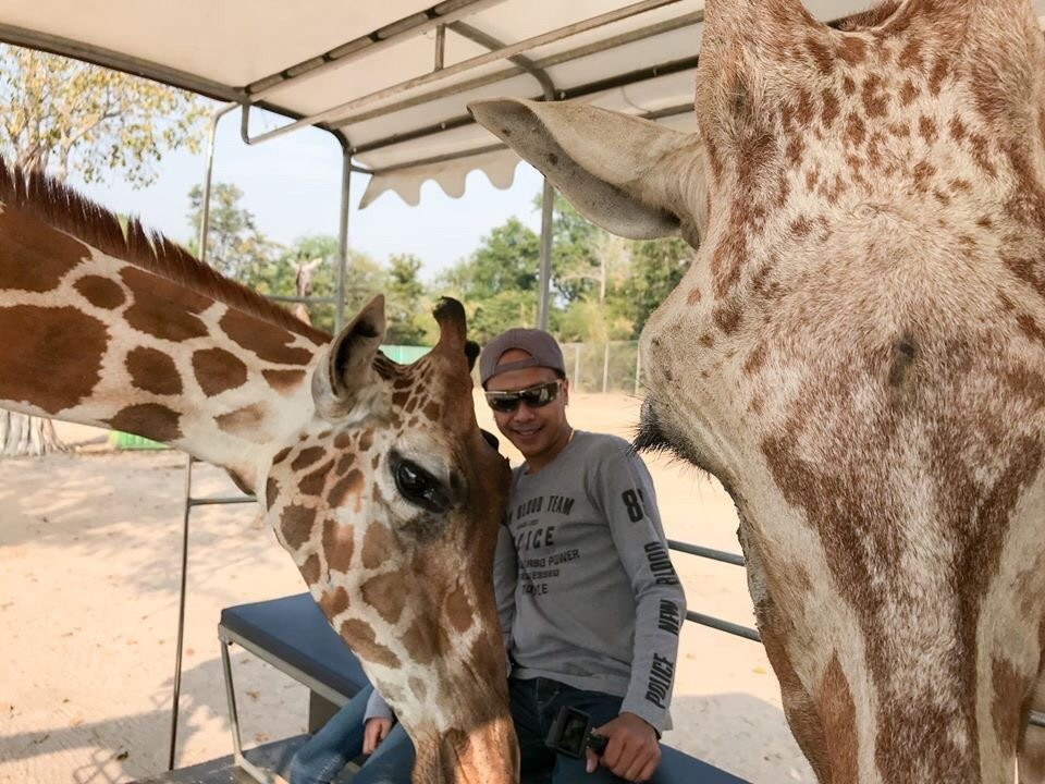 Safari Park Open Zoo景点图片