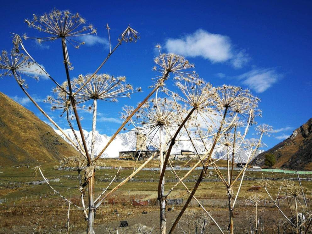 Ushguli Ethnographic Museum景点图片