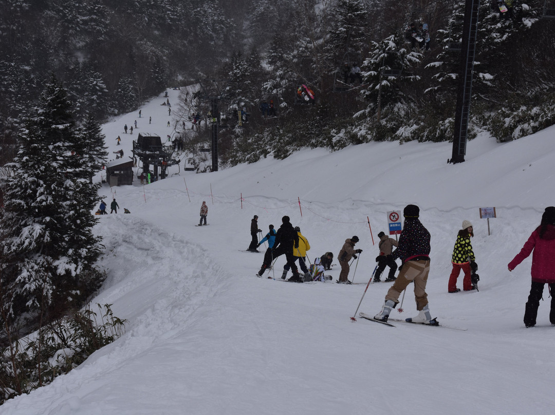 Ryuoo Ski Park景点图片