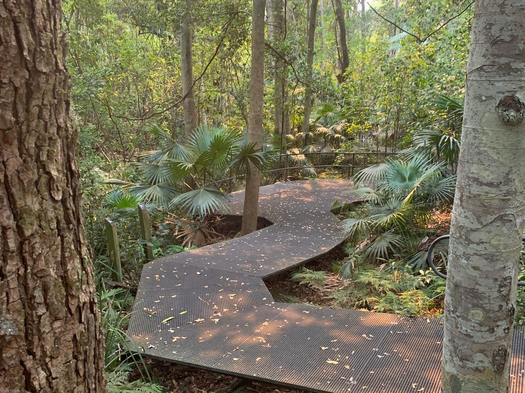 Minnamurra Rain Forest Centre景点图片
