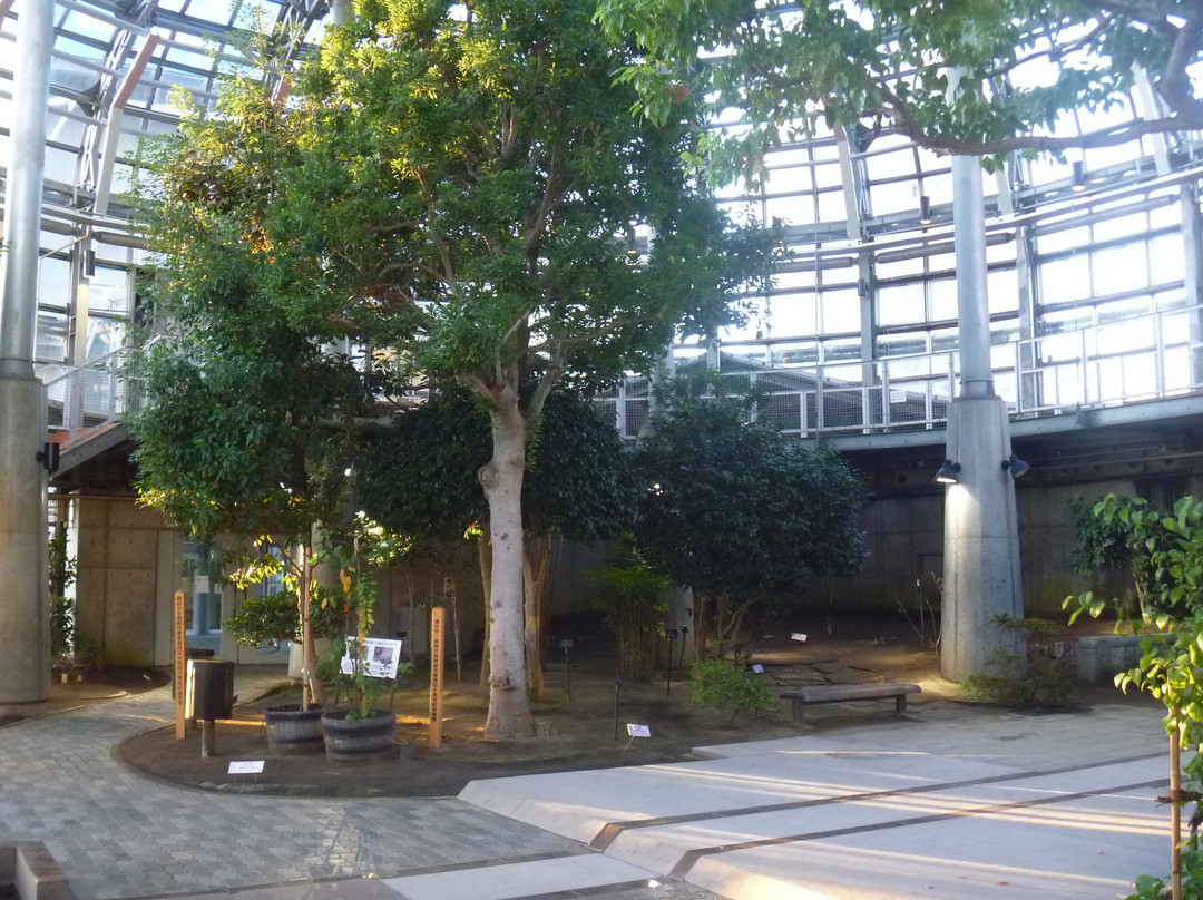 Kushiro Fisherman 's Wharf EGG-钏路市必去景点