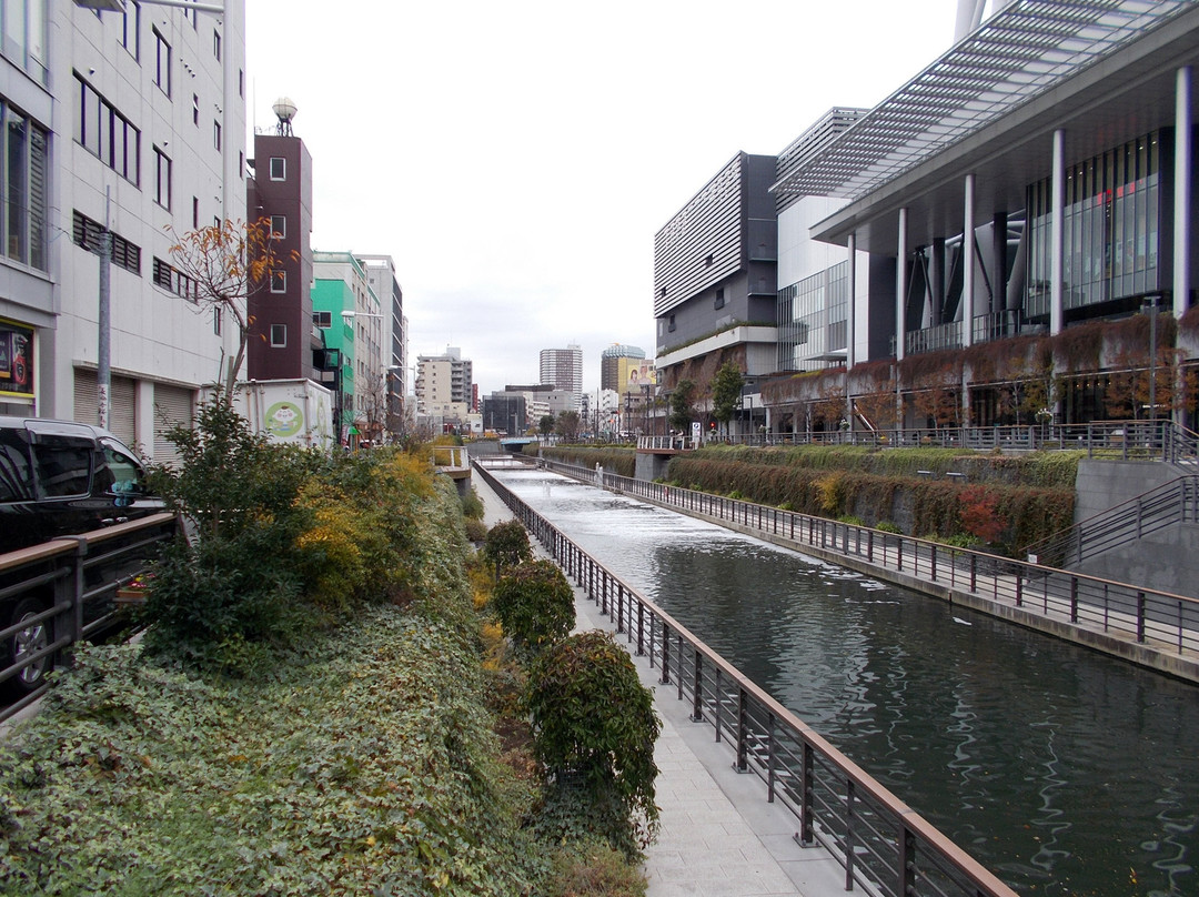 Oshinari Park-墨田区必去景点