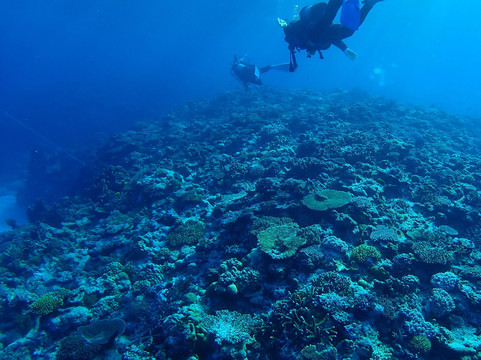 Dunk Diving Entertainment-那霸市必去景点