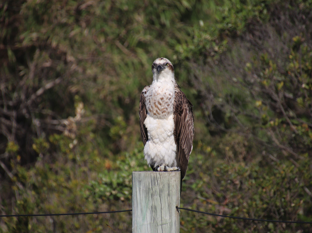 Tuart Forest National Park-巴瑟尔顿必去景点