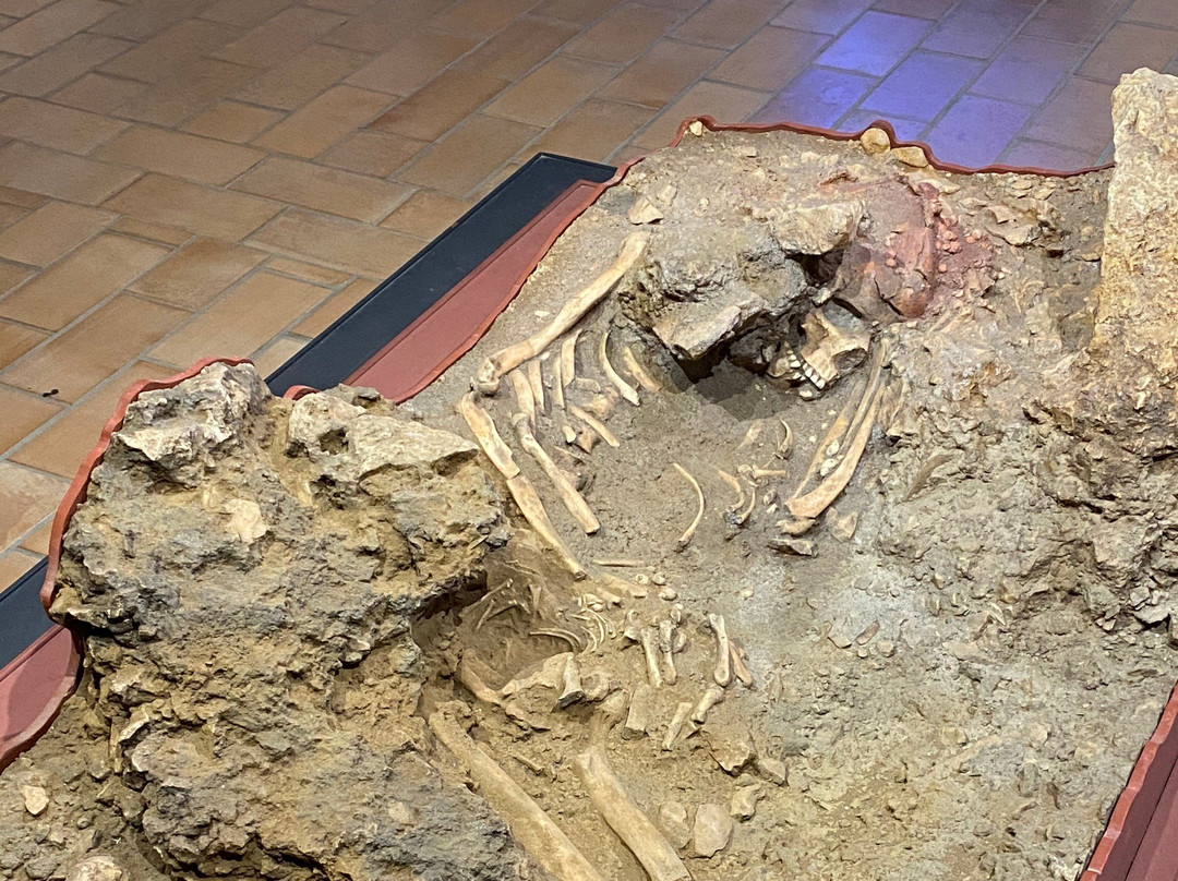 Museo Civilta Preclassiche della Murgia Meridionale-奥斯图尼必去景点