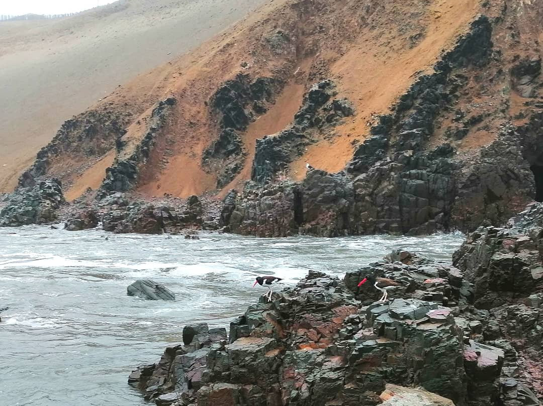 Playa Asia-Asia必去景点