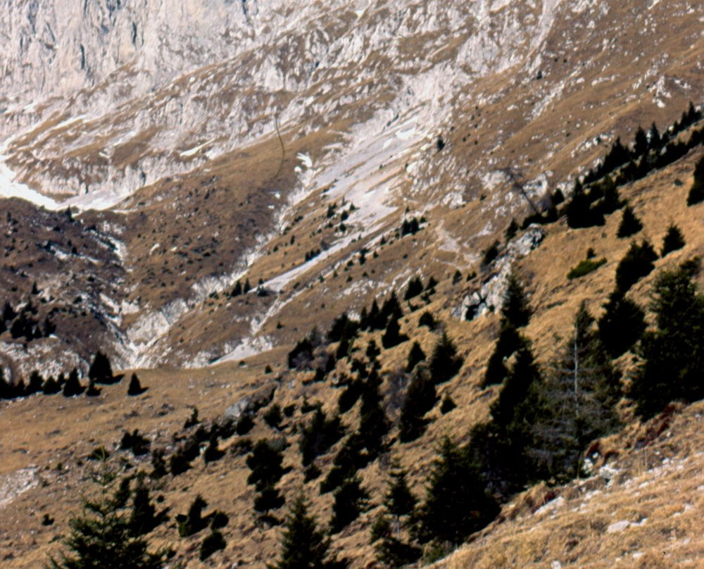 Presolana Monte Pora景点图片