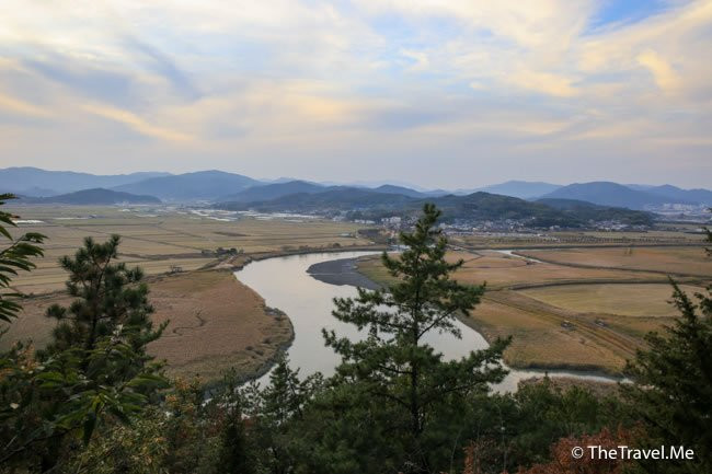 Suncheon Bay Wetland Reserve景点图片