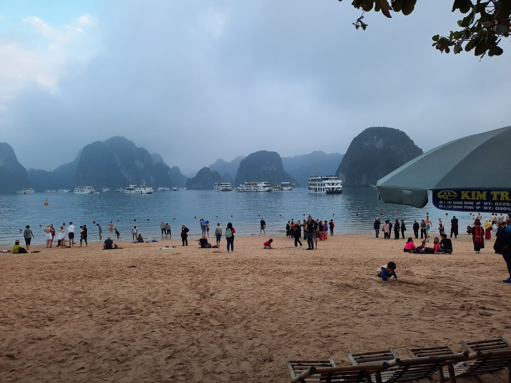 Golden Bay Cruise