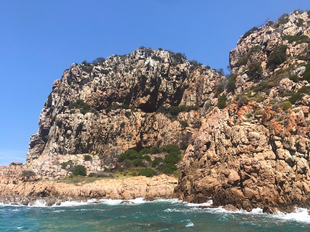 Knysna Adventures-克尼斯纳必去景点