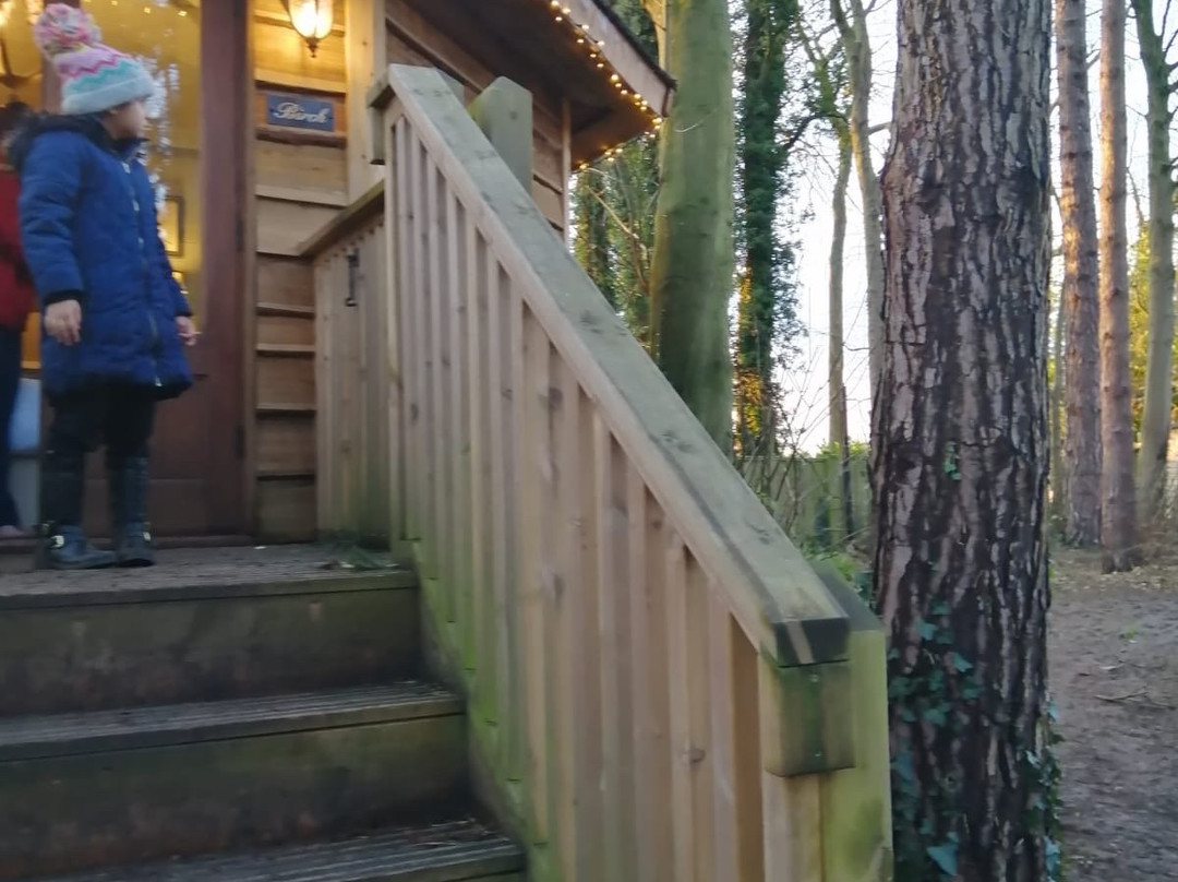 Forest Hideaway