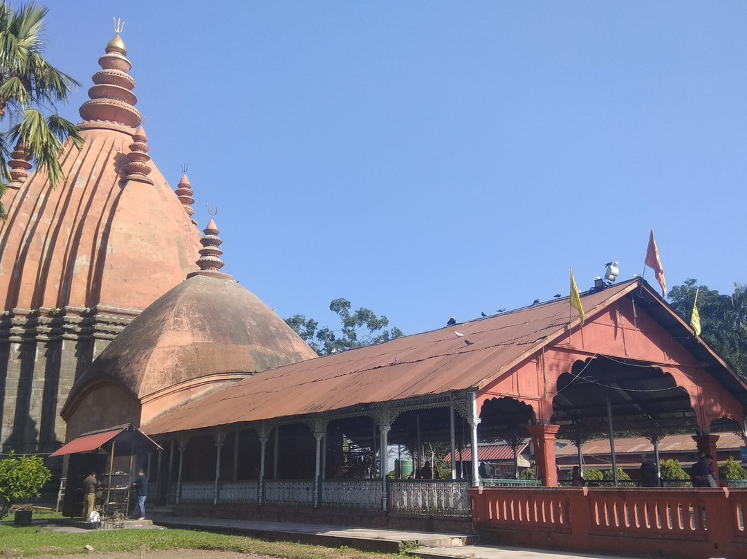 Rudrasagar Tank and Temple景点图片