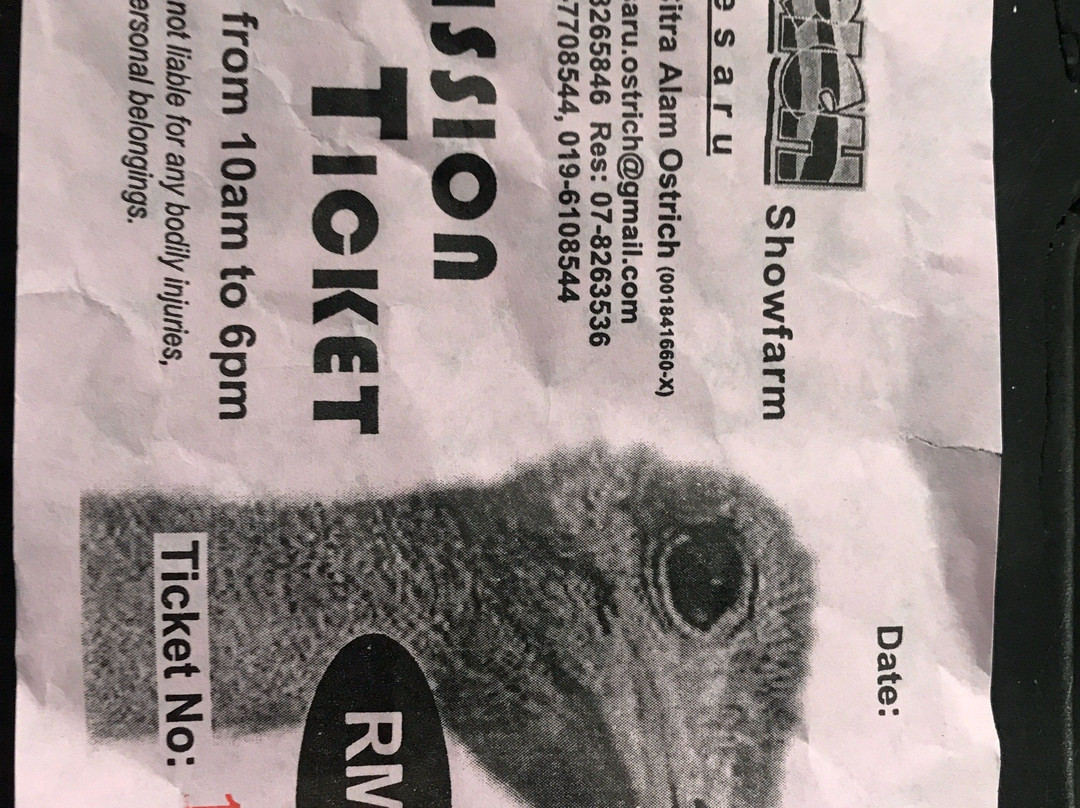 Desaru Ostrich Farm-Kota Tinggi District必去景点