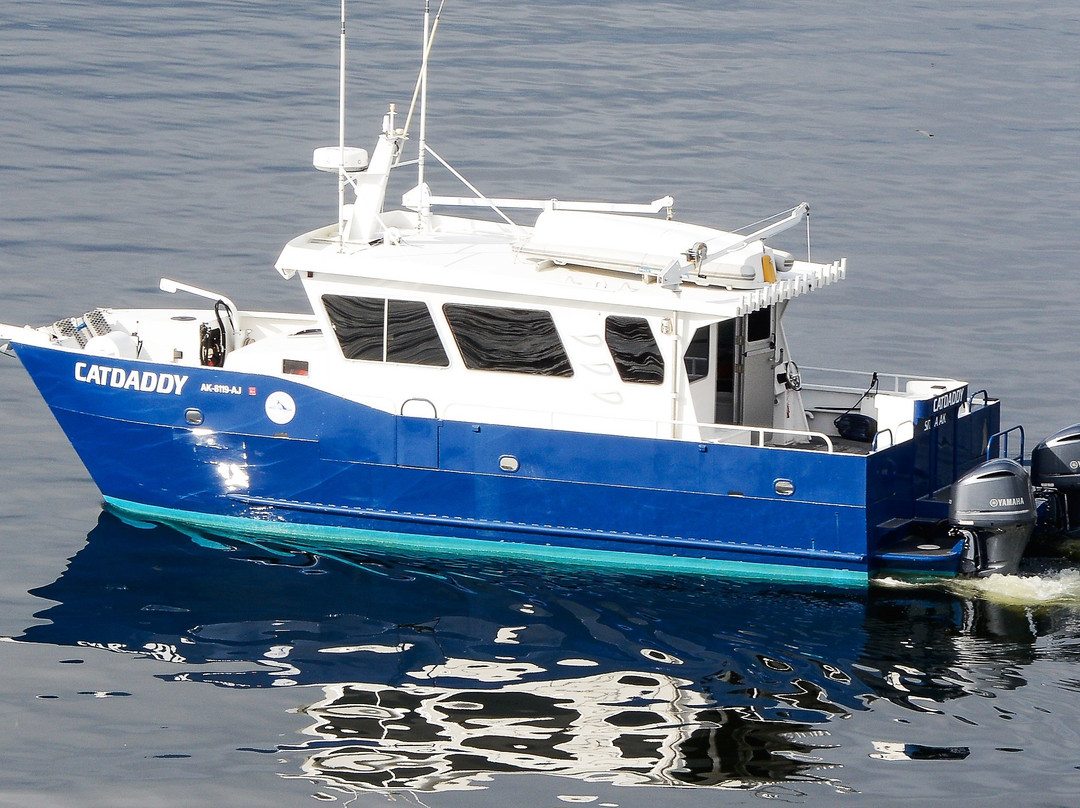 A Whale's Song Expeditions-锡特卡必去景点