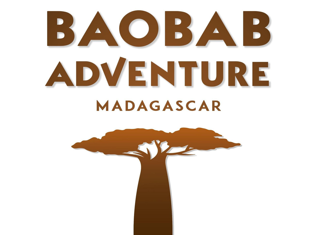 Baobab Travels景点图片