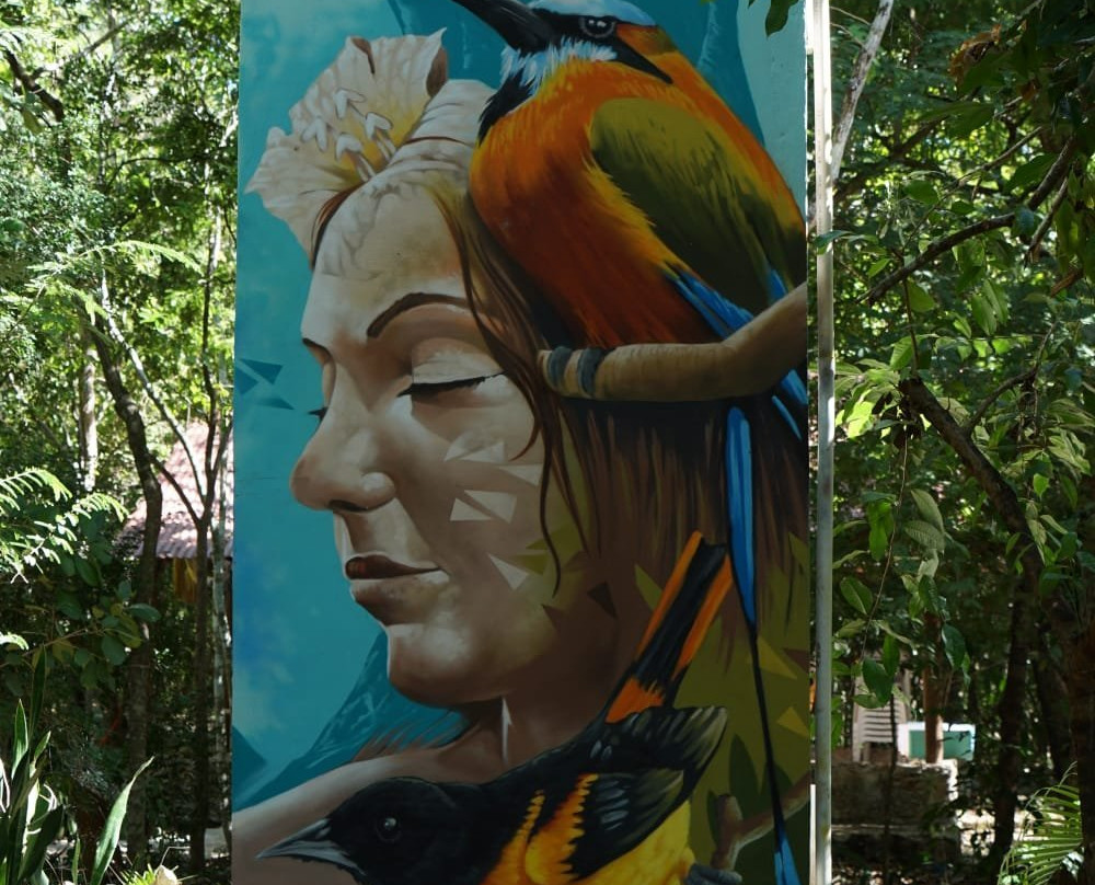 Xkopek Parque Apicola景点图片