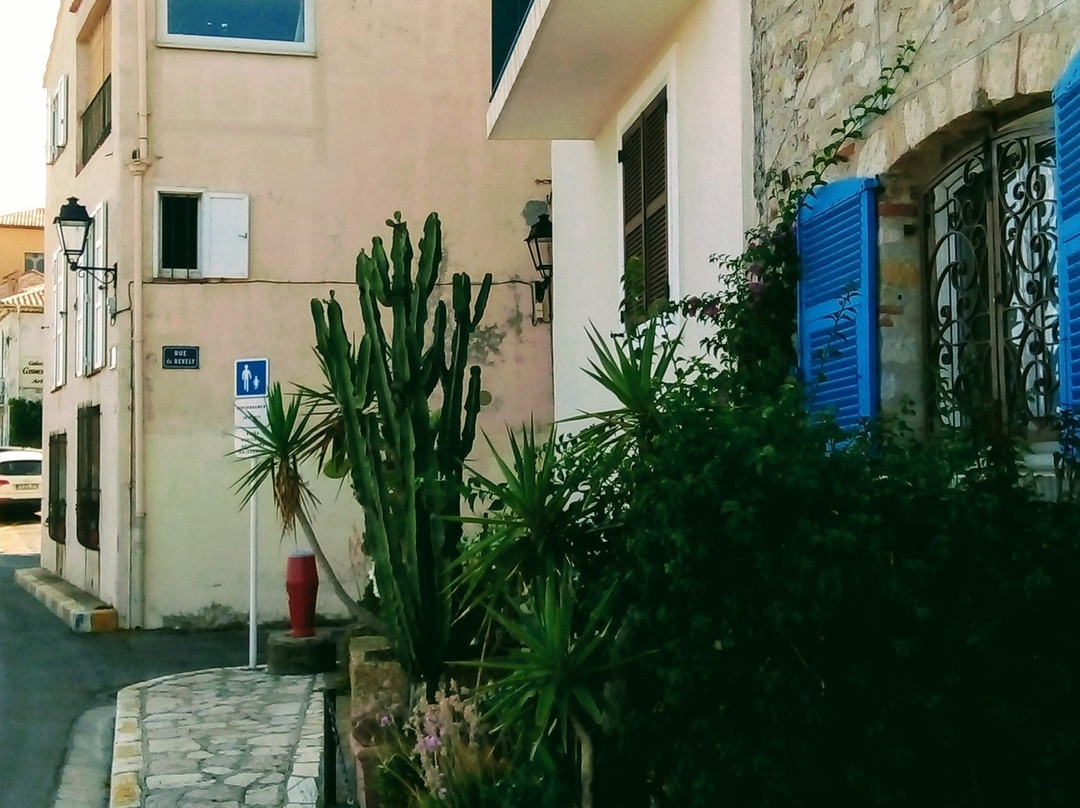 Plage Antibes-安提贝必去景点