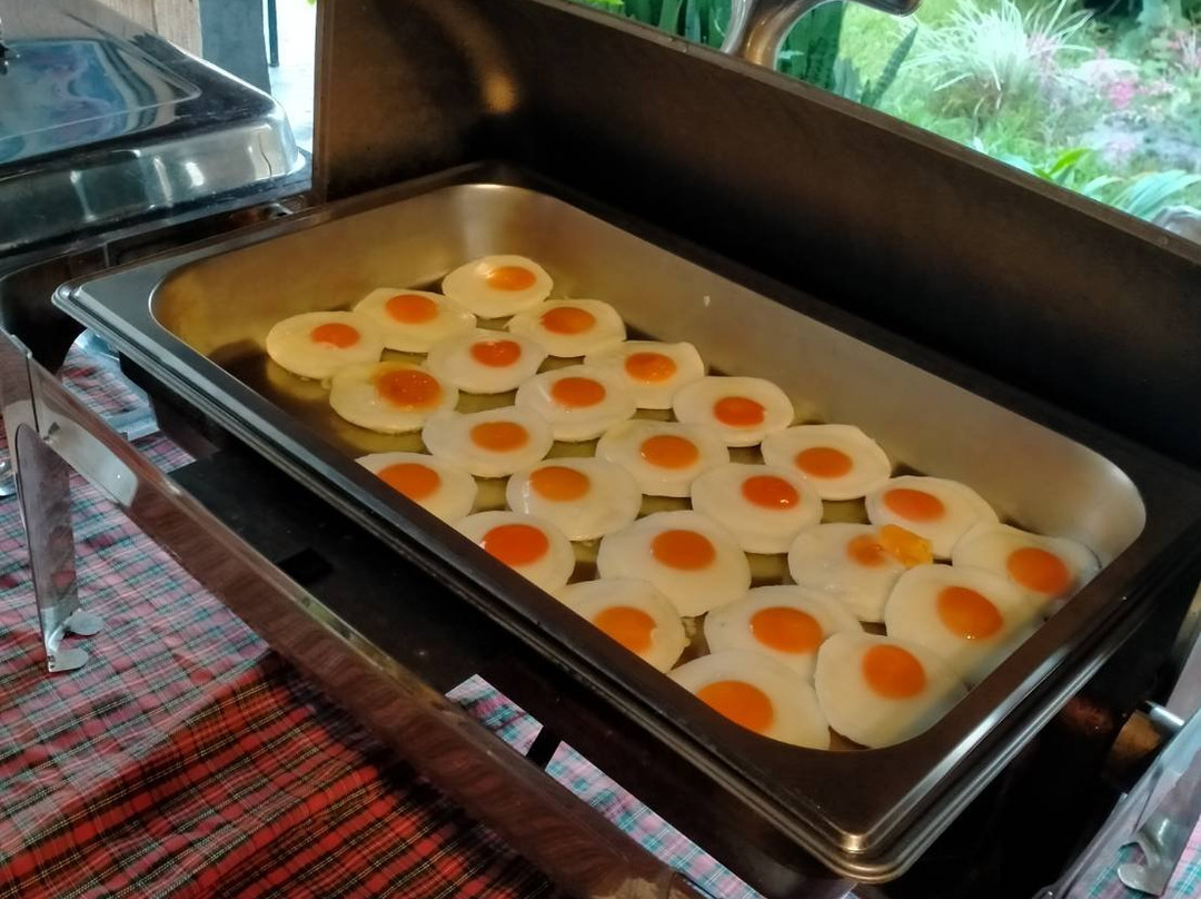 Aurora Resort Chiang Dao主图