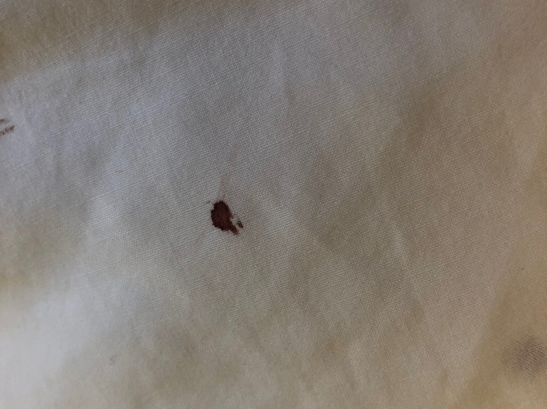 The House on the Rock Resort主图