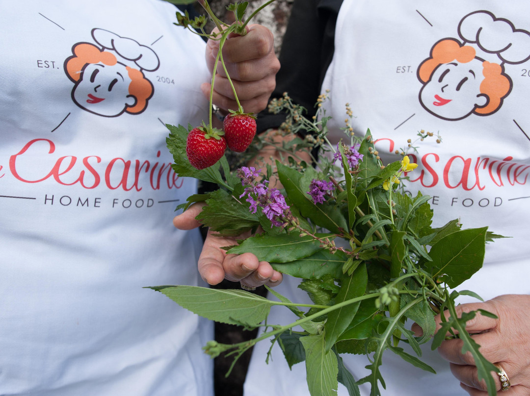 Cesarine: Cooking Class景点图片