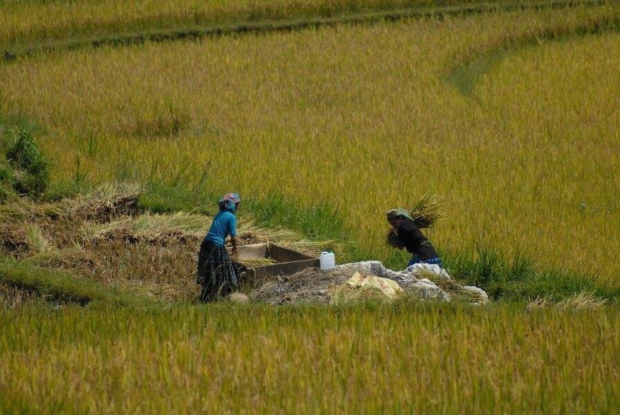 La Pan Tan-Mu Cang Chai必去景点