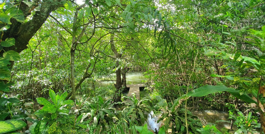 Sigatoka Spa景点图片