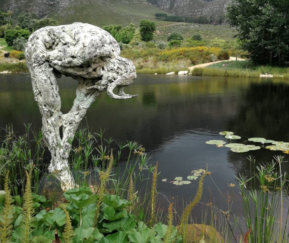 Dylan Lewis Sculpture  Garden景点图片