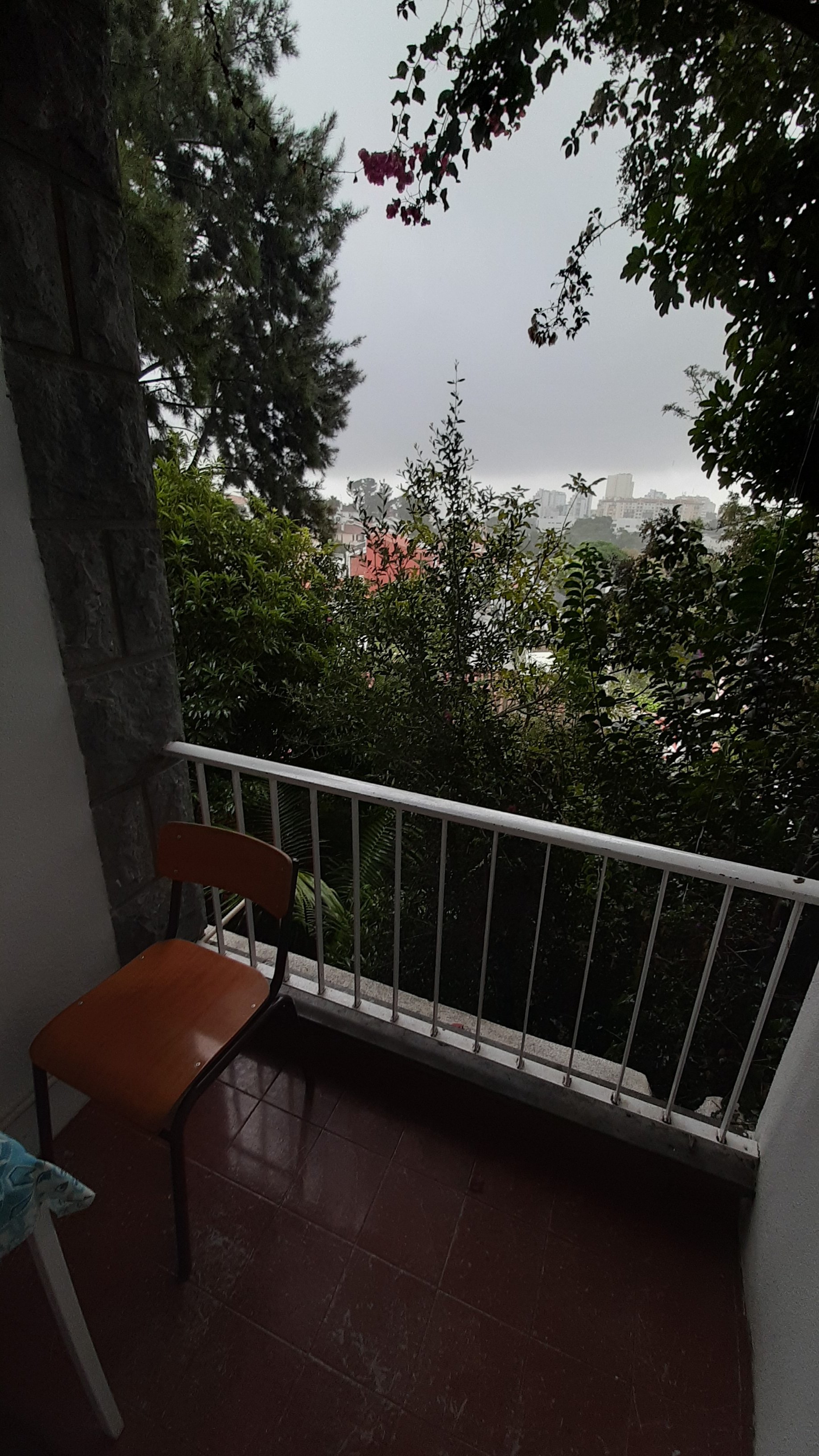 Cascais Jasmim Doce-酒店景观