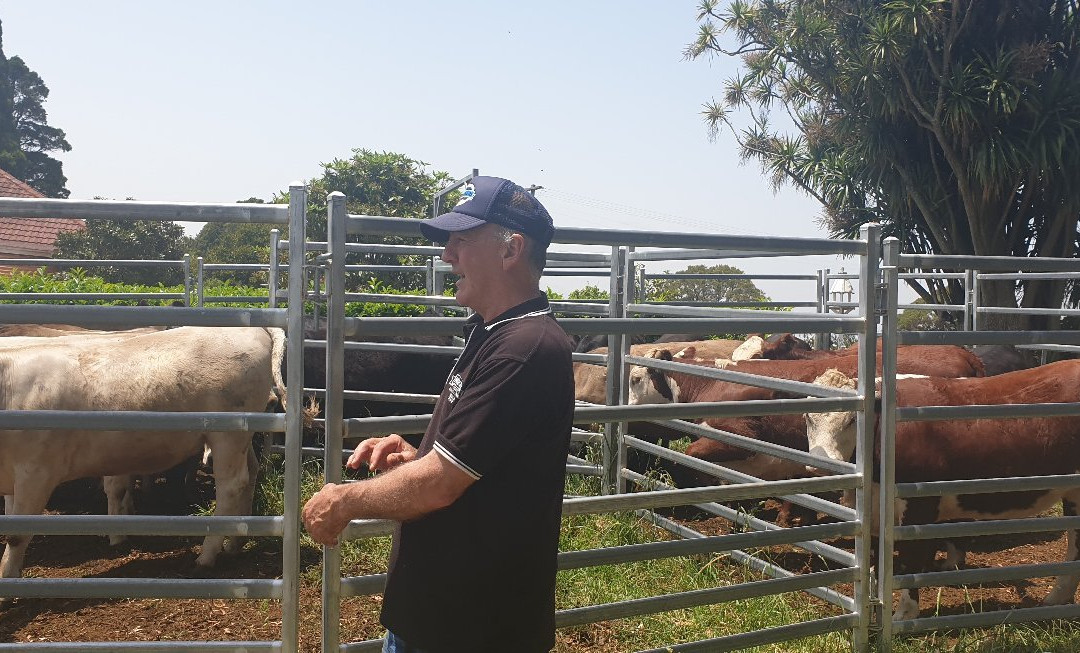 Maugers Paddock to Plate Tours-Robertson必去景点