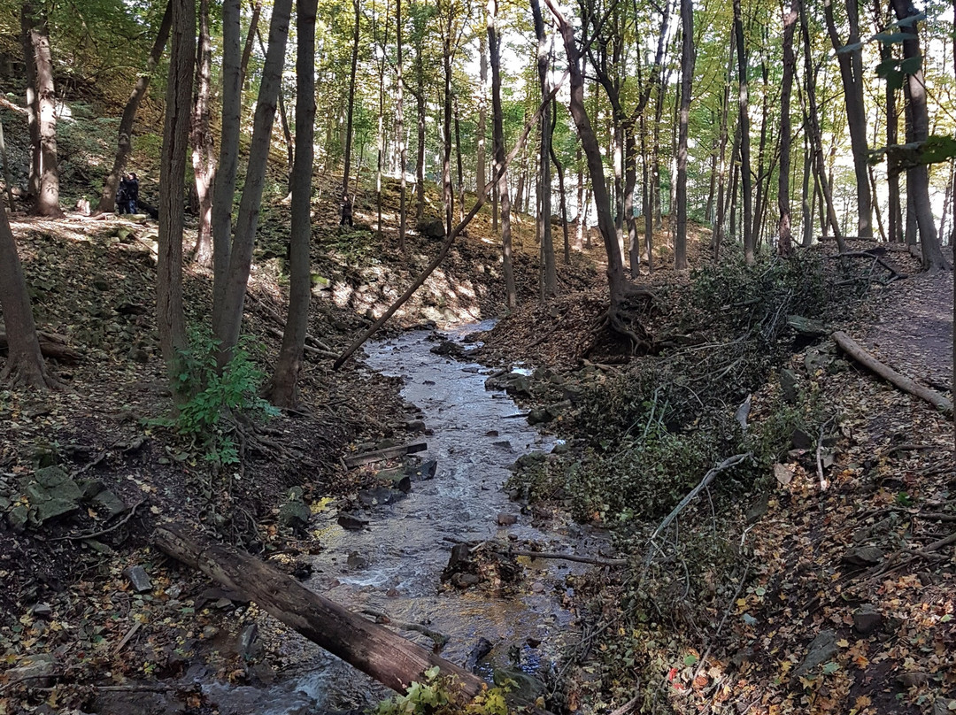 Sherman Falls-汉密尔顿必去景点