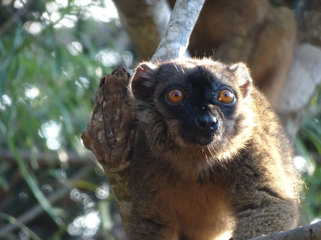 Le Jardin Maore主图