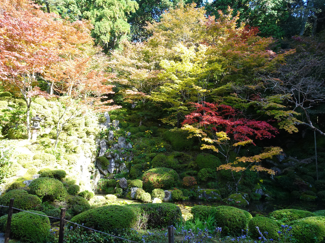 Kongorin-ji Temple Myojyuin Garden景点图片
