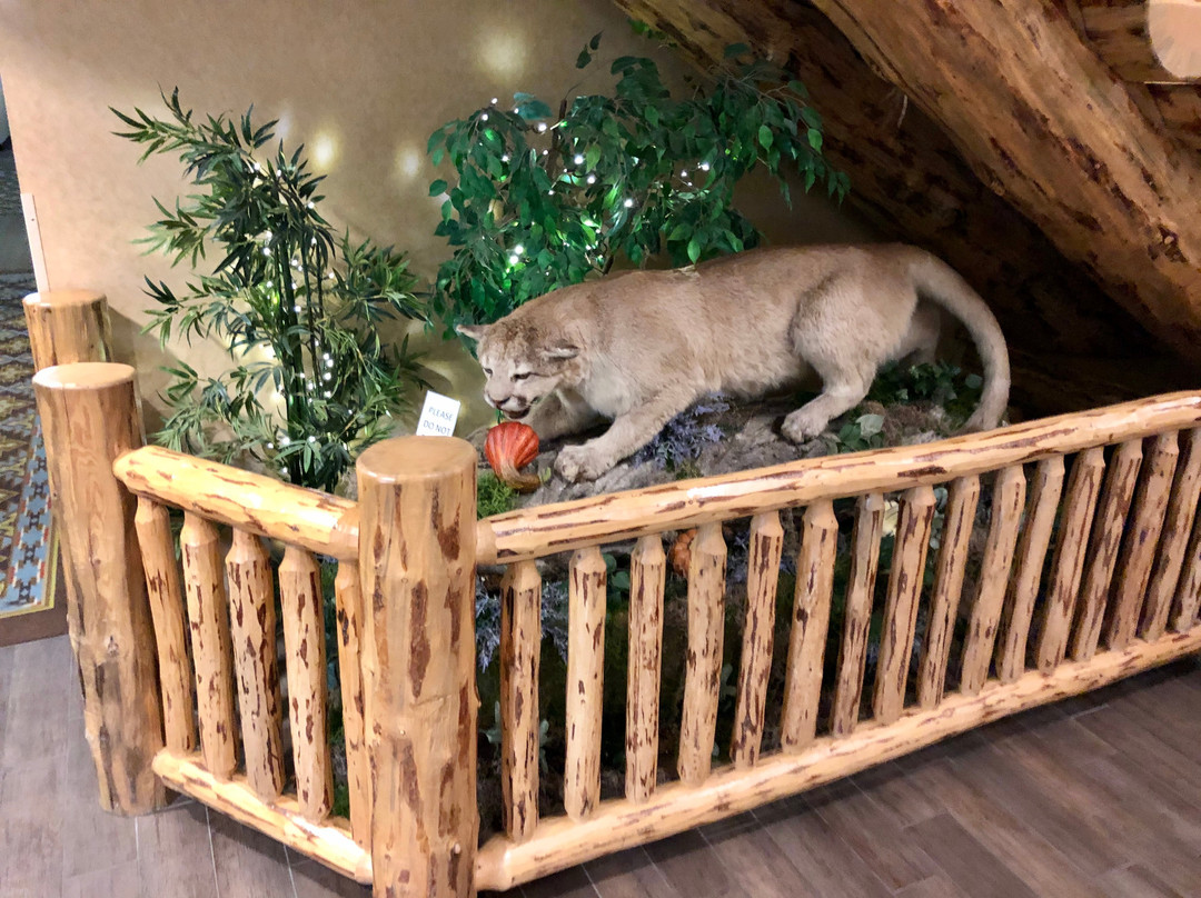 Holiday Inn Express & Suites Donegal By IHG主图