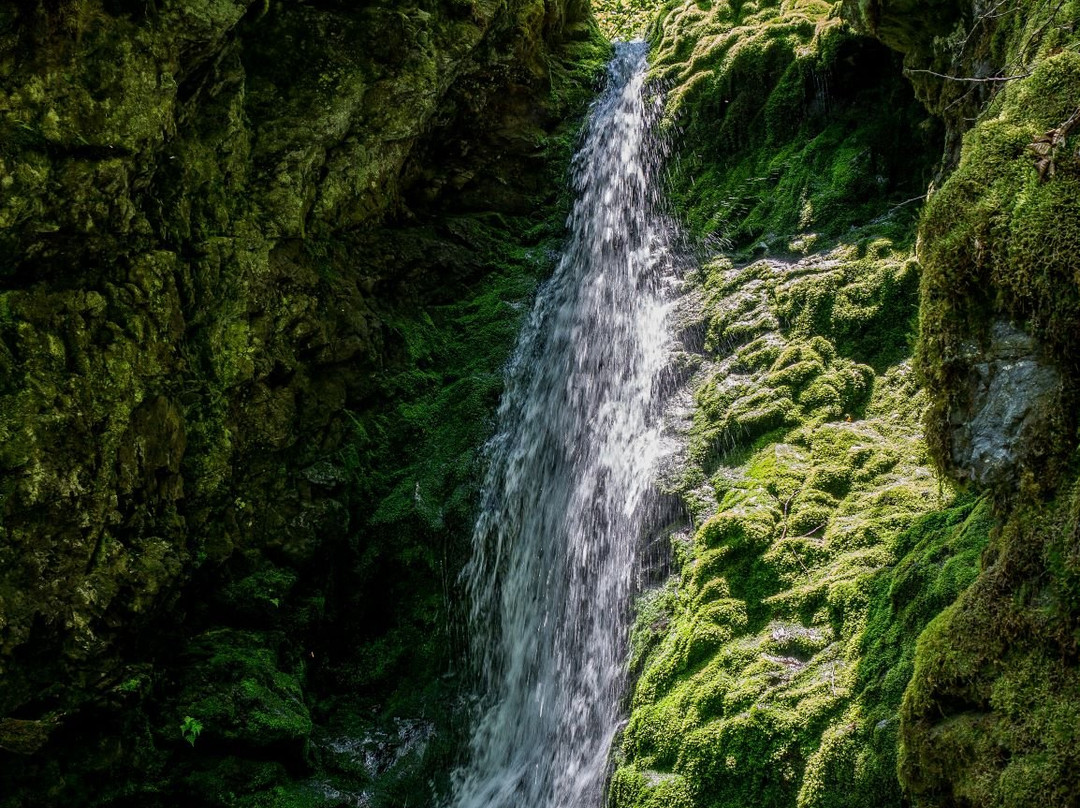 Dickson Falls景点图片
