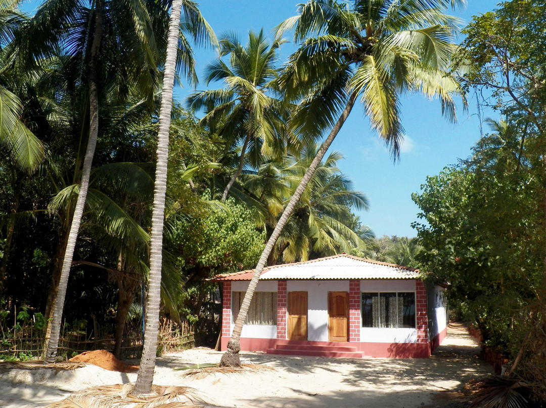 The Coconut Palms