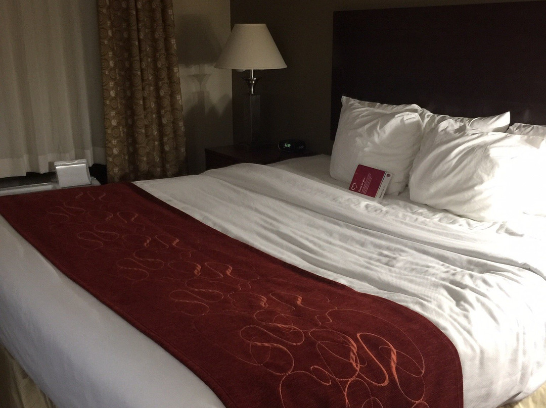 Comfort Suites Clayton - Garner主图