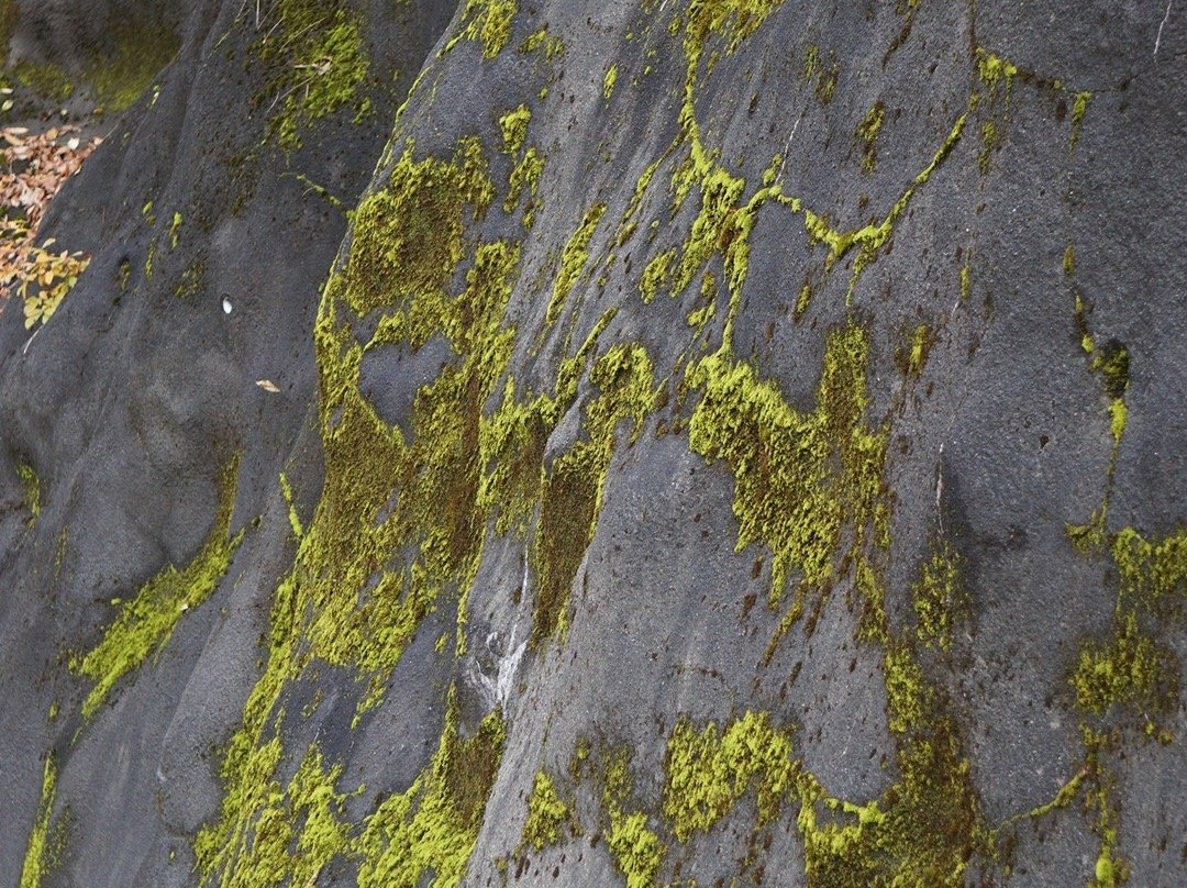 Akiyamago-津南町必去景点