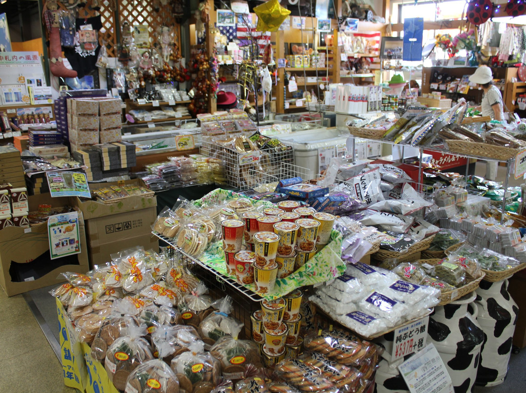 道之站 中札內-中札内村必去景点