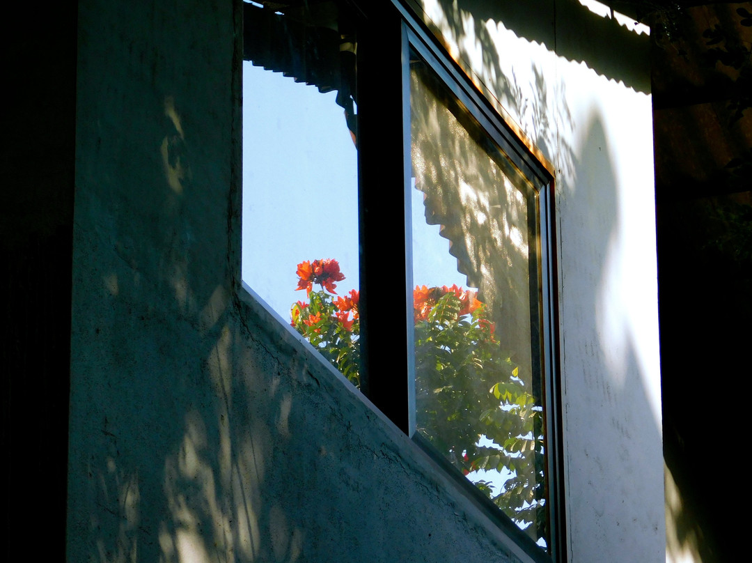 The Yash Resort主图