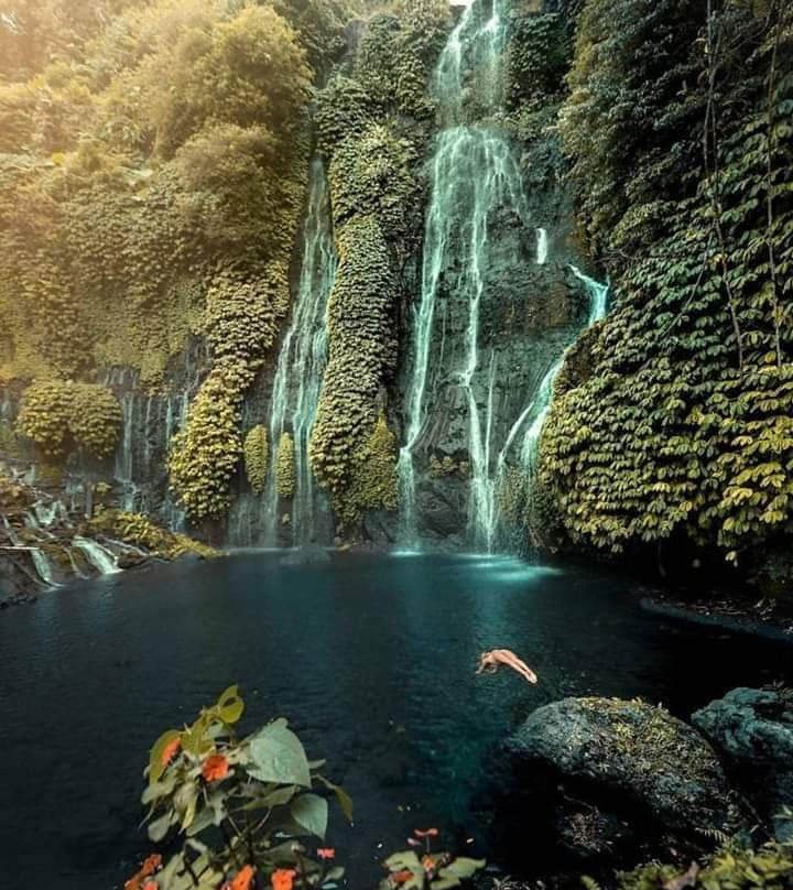 JULI BALI TOUR景点图片