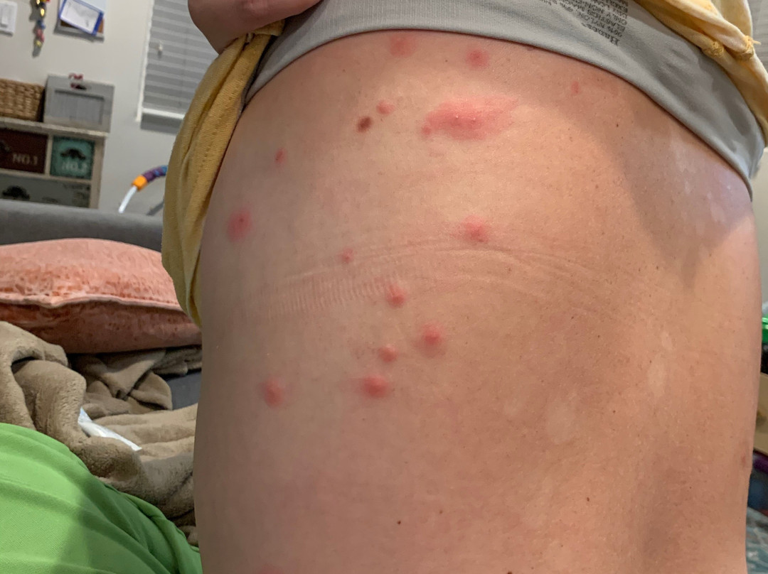 帕萨迪纳威斯丁酒店主图