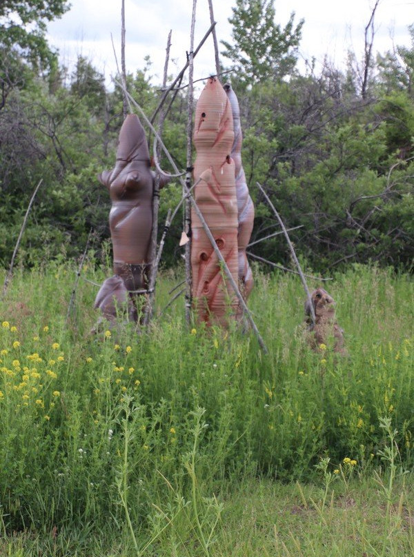 Archie Bray Foundation-赫勒拿必去景点