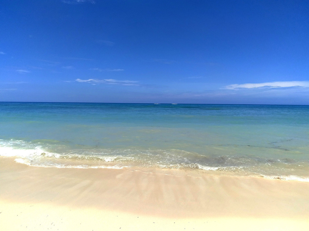 Hostal la Reina主图