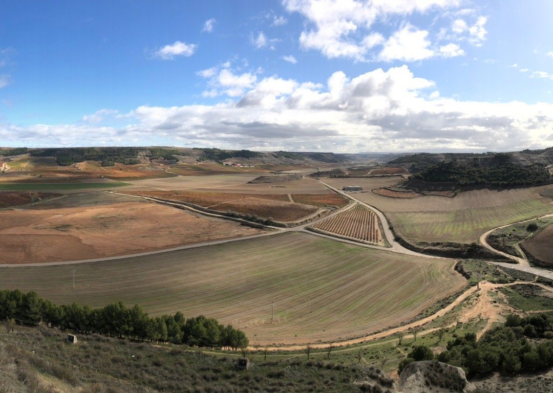 Bodegas Veganzones-Fompedraza必去景点