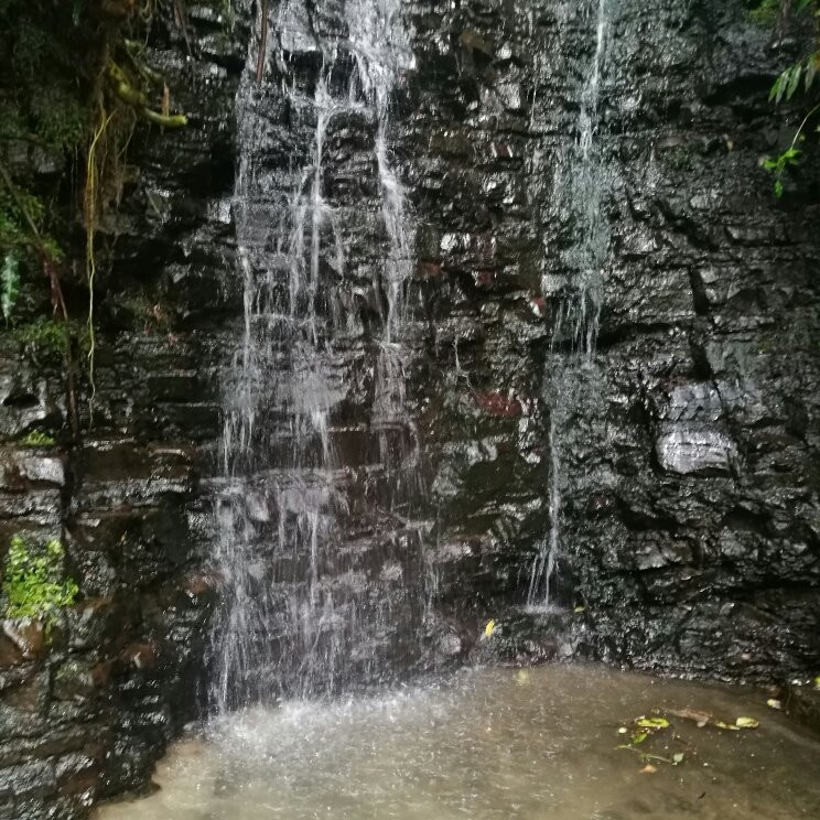 Holywell Park-金斯敦必去景点