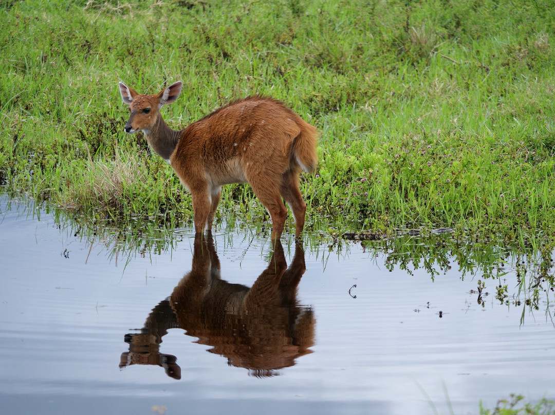 Caracal Tours & Safaris景点图片