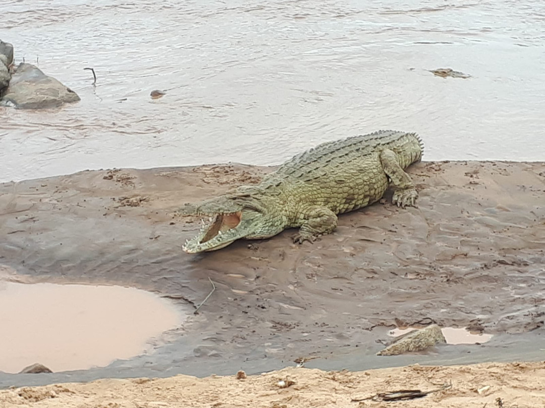 THOMAS SAFARI KENYA-瓦塔木必去景点