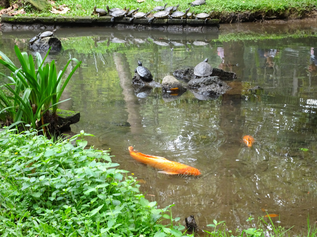 Parque de los Tecajetes景点图片