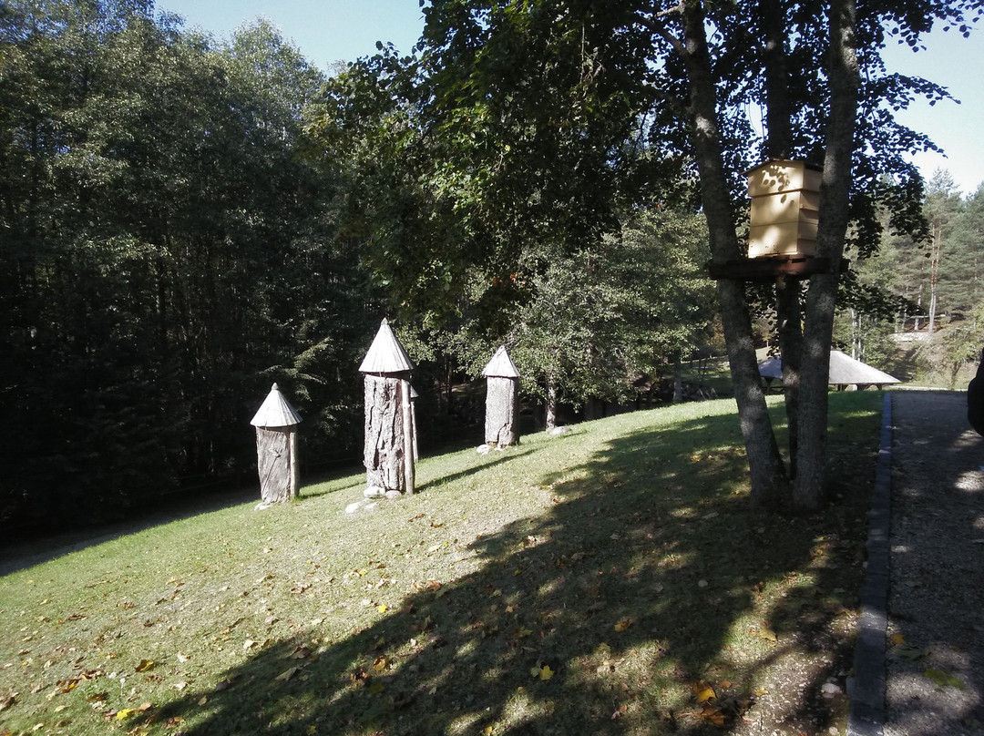 Museum of Ancient Beekeeping-Ignalina必去景点