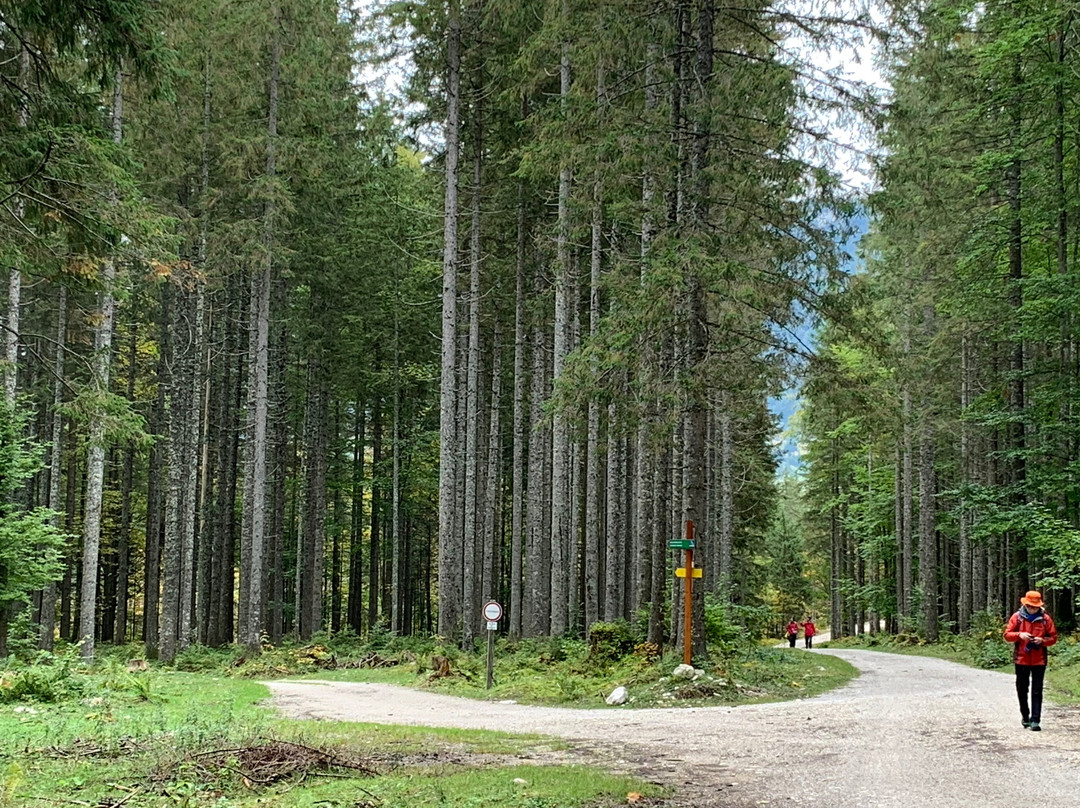 Oedensee-Pichl-Kainisch必去景点